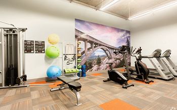 Gym with equipment